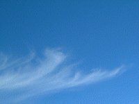 �}�E�C�̋�