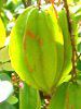 X^[t[c(Star fruit)