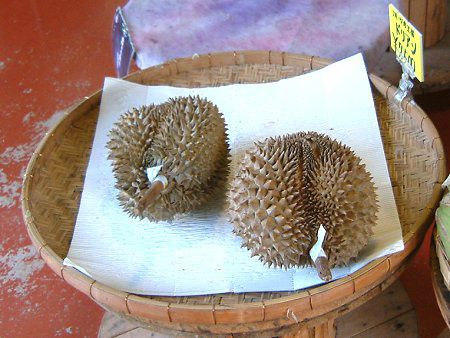 hA(Durian)