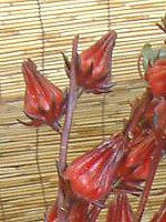 [[(Roselle)