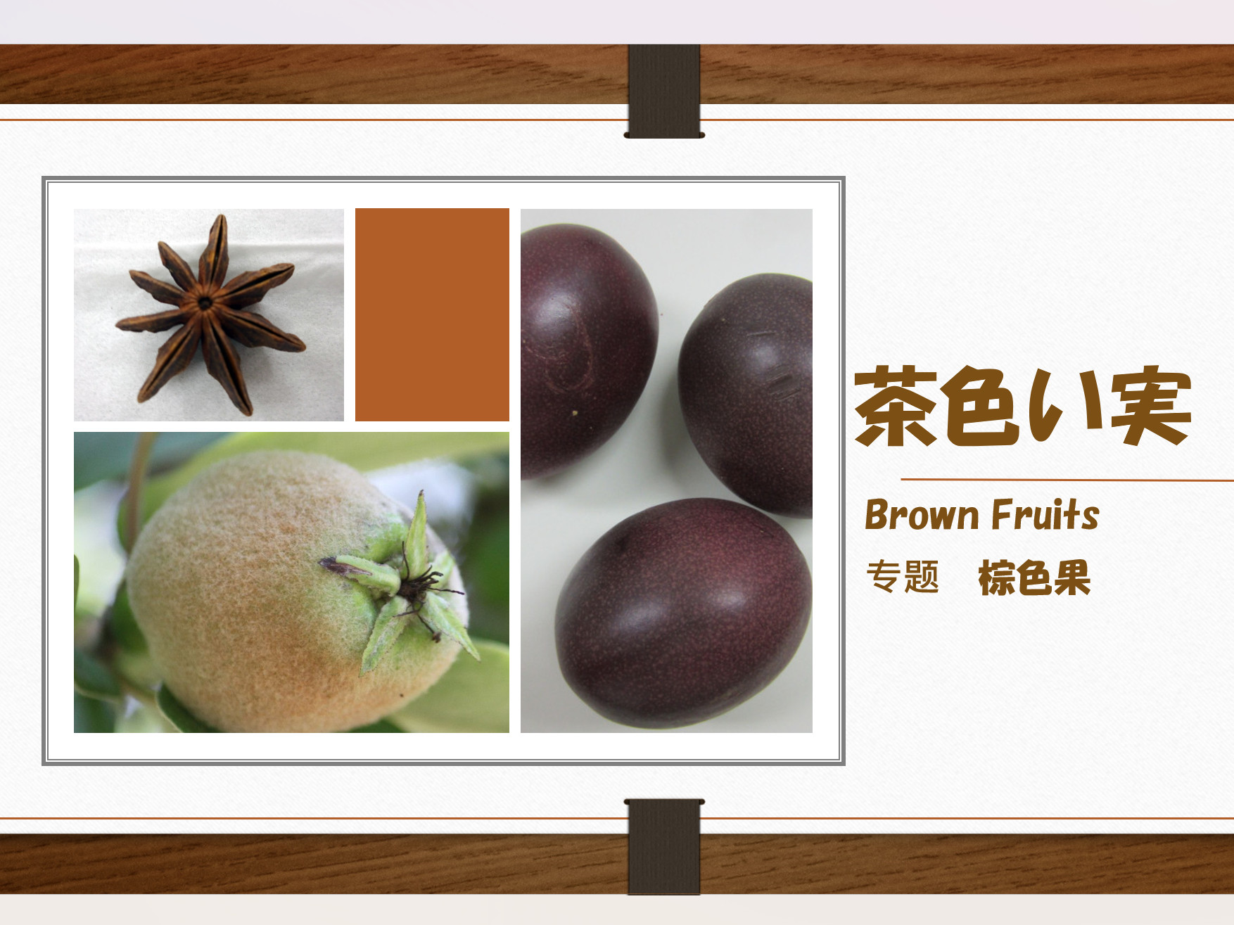 Feature Brown Fruits