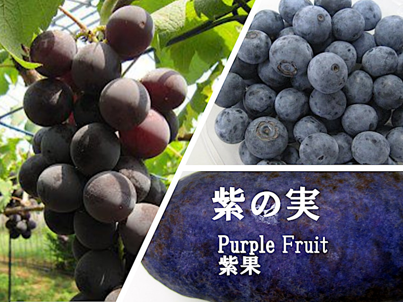 Feature purple Fruit