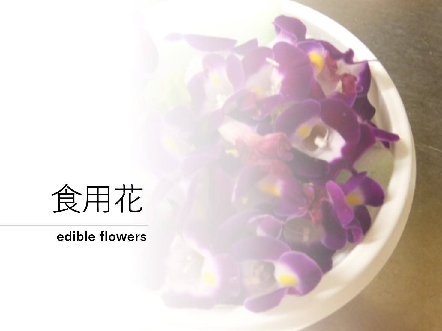 食用花・エディブルフラワー（Edibleflower）