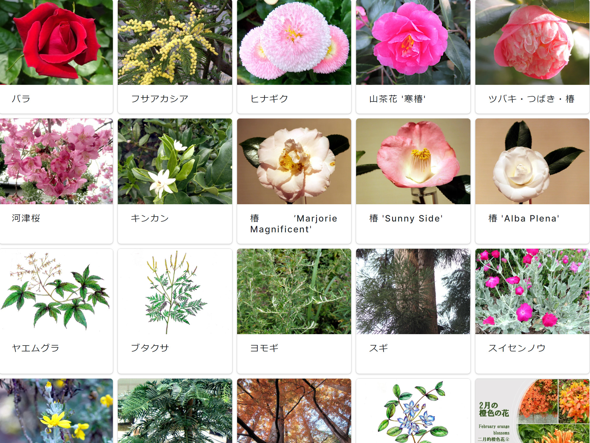 Flower List in 'Kagiken Flower Zukan'