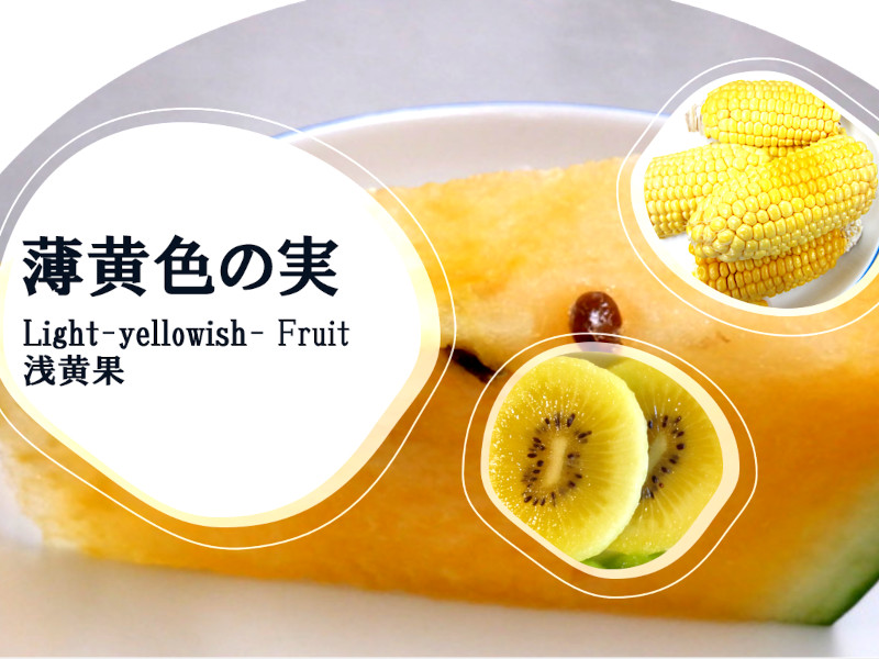 薄黄色の実