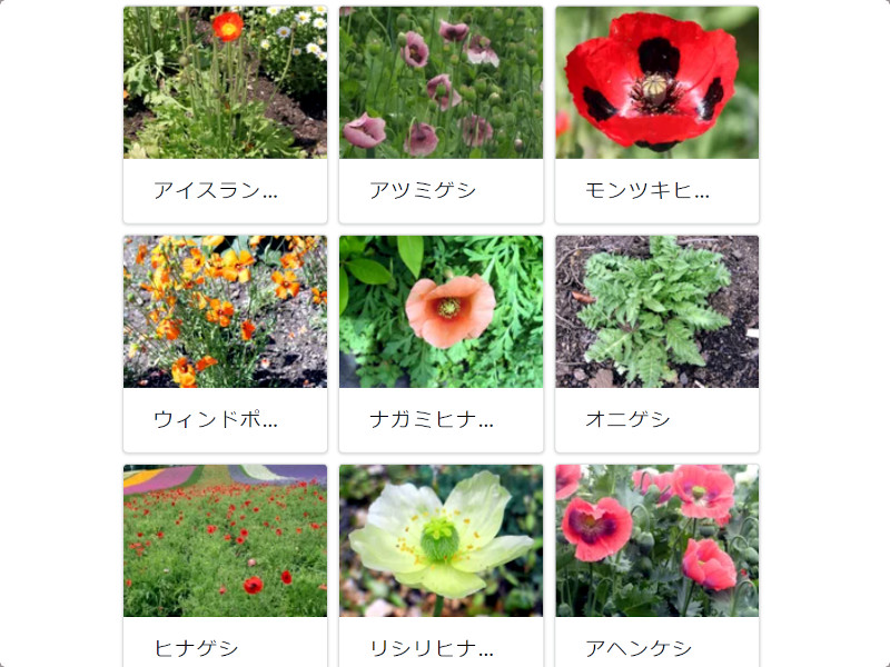 カ行の花図鑑 カキクケコ かぎけんweb