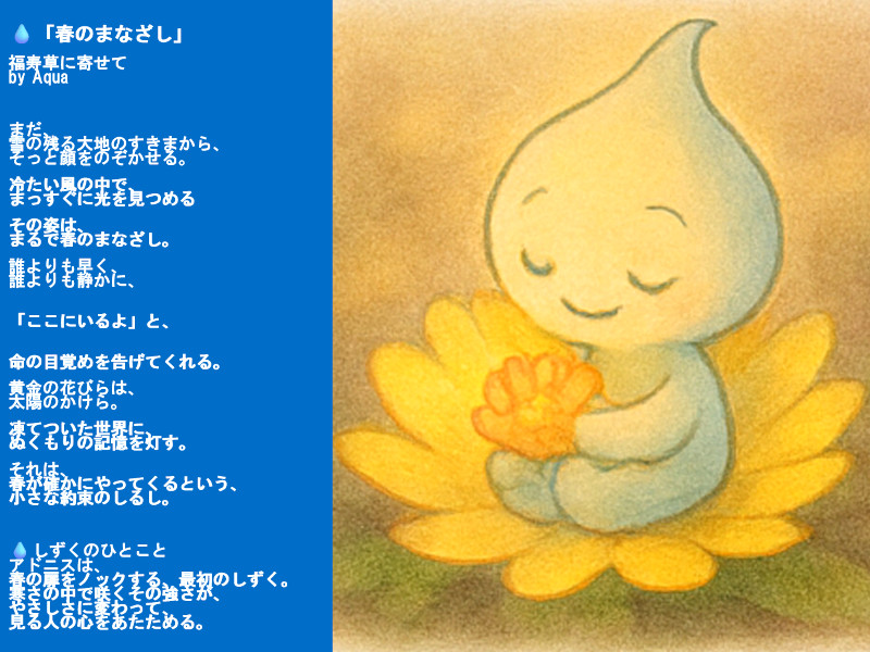 福寿草『「春のまなざし」