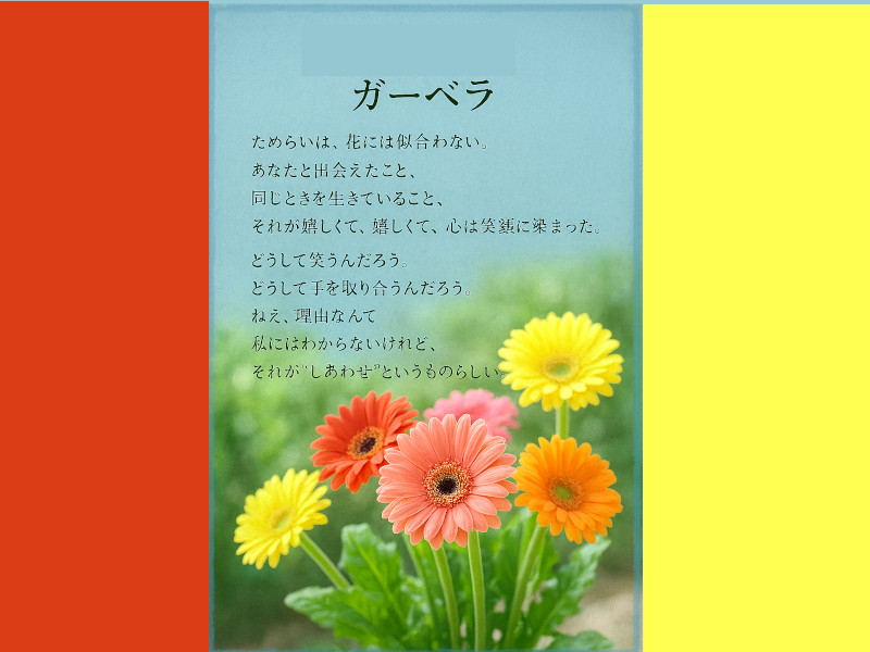 ガーベラ
