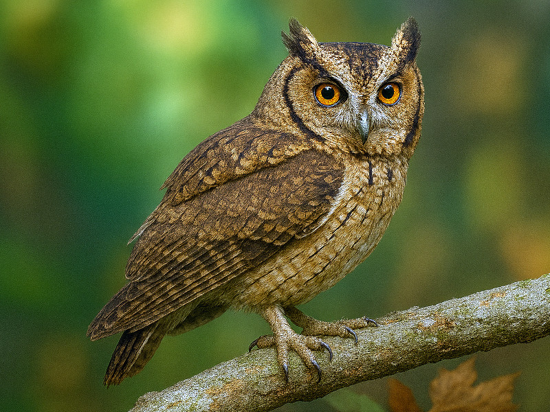 �I�I�R�m�n�Y�N�i��ؗt���j