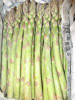 AXpKXiAsparagus officinalisj