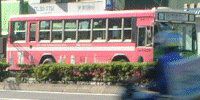 ラッピング都営バス