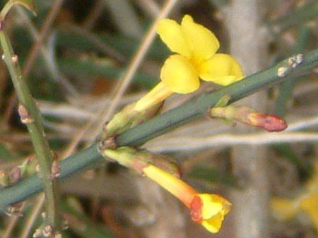 �I�E�o�C(���~)