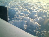 �Z���t����