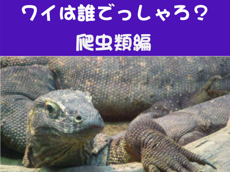 動物クイズ ④爬虫類編 1.任務遂行