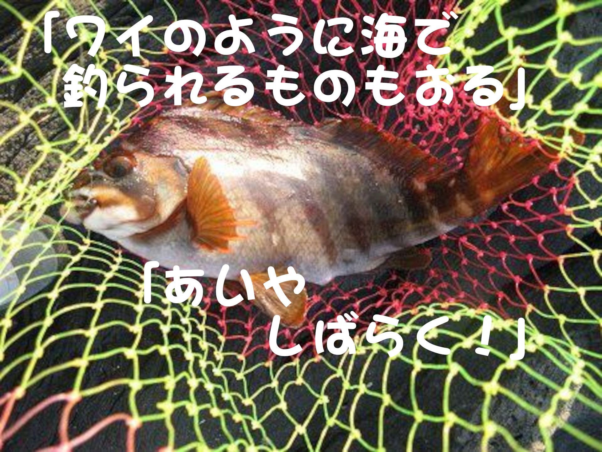 �^�J�m�n�_�C