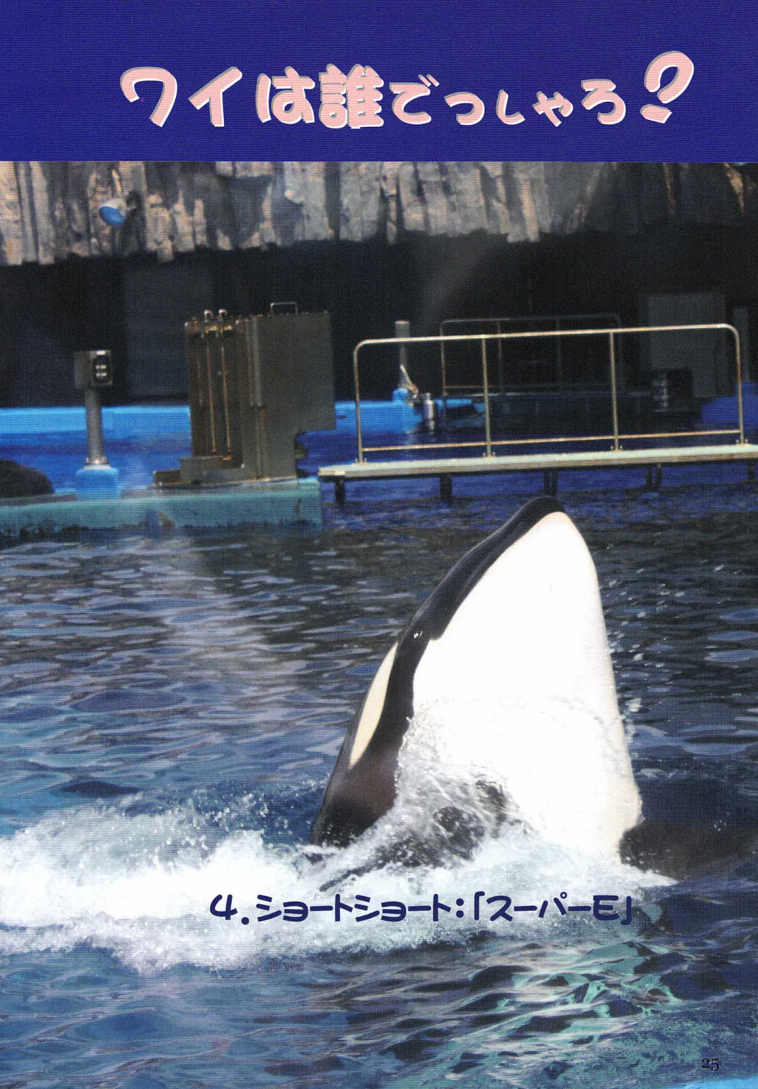 シャチ 鯱 世界一の海棲肉食ほ乳類肉食 かぎけんweb