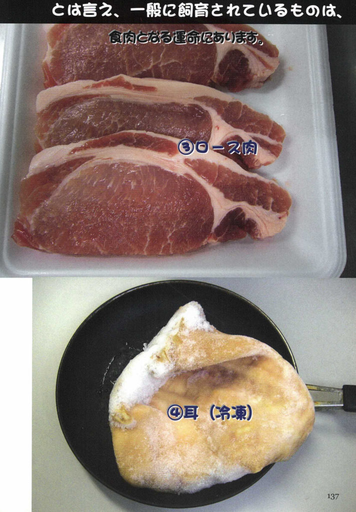 とは言え、一般に飼育されているものは、
食肉となる運命にあります。
③ロース肉
④耳（冷凍