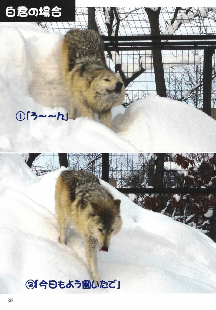 白君の場合
①「う～ん」
②「今日もよう働いたで」
