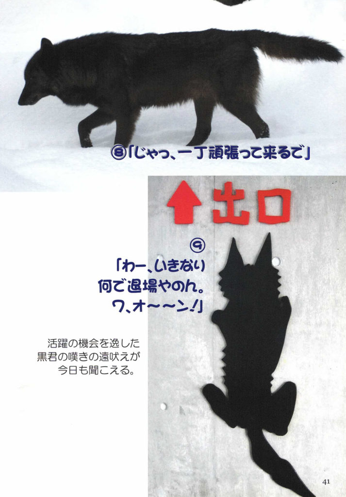 ⑧「じゃっ、一丁頑張ってくるで」
↑出口
⑨「わー、いきなり何で退場やのん。ワ、オ～～ン！」

活躍の機会を逃した黒君の嘆きの
遠吠えが今日も聞こえる。