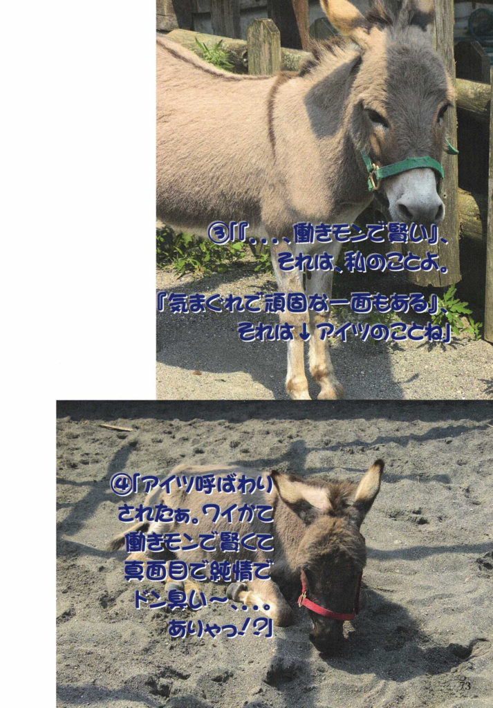 ③｢『．．．、働きモンで賢い』、
それは、ワイのことや。

『気まぐれで頑固な一面もある』、
それは↓アイツのことやね｣
④｢アイツ呼ばわり
されたぁ。ワイかて
働きモンで、賢くて、
真面目で、純情で、
ドン臭い～、．．．、
ありゃっ！？｣

