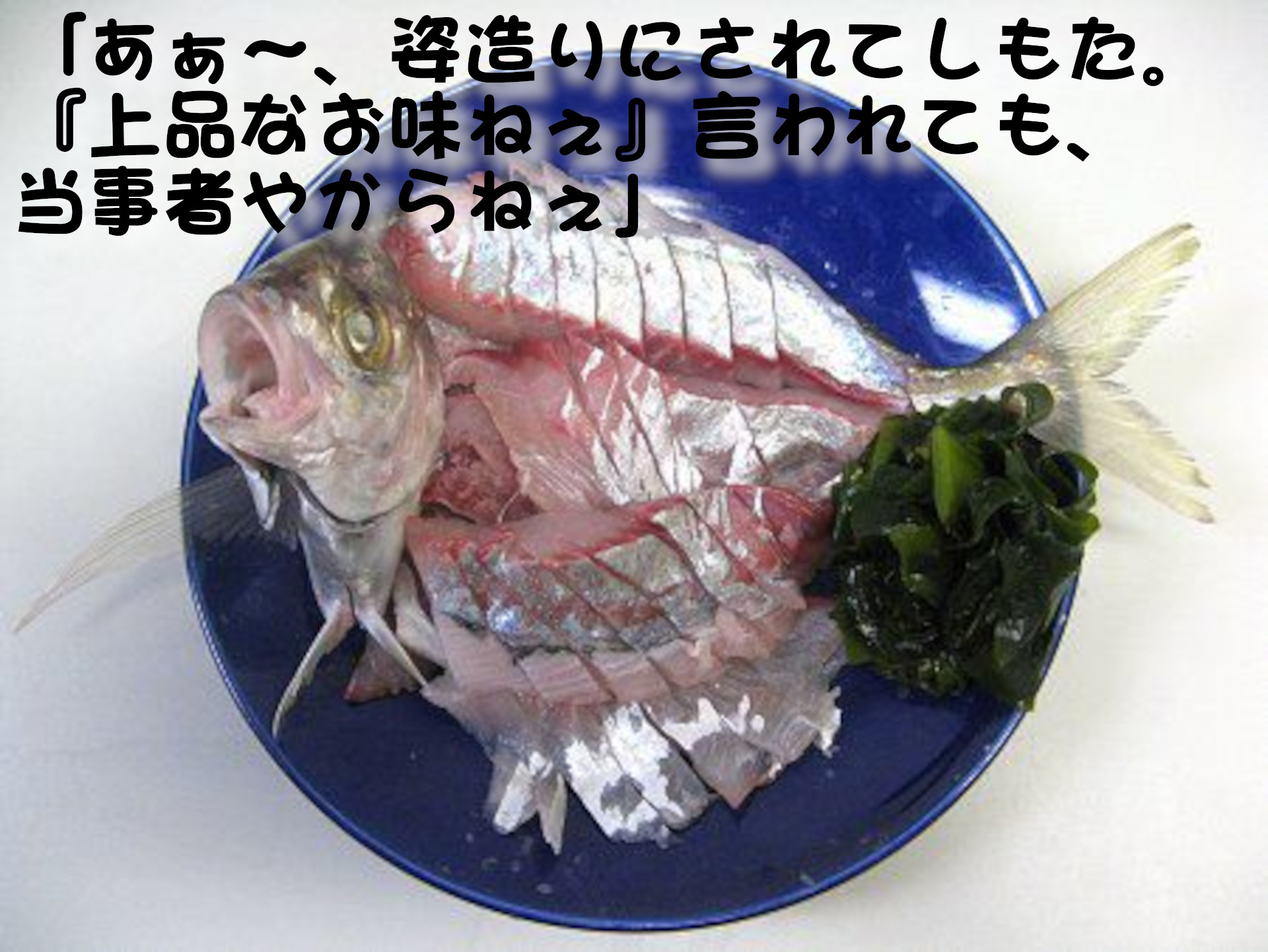 カイワリ
「あぁ～、姿造りにされてしもた。『上品なお味ねぇ』言われても、当事者やからねぇ」