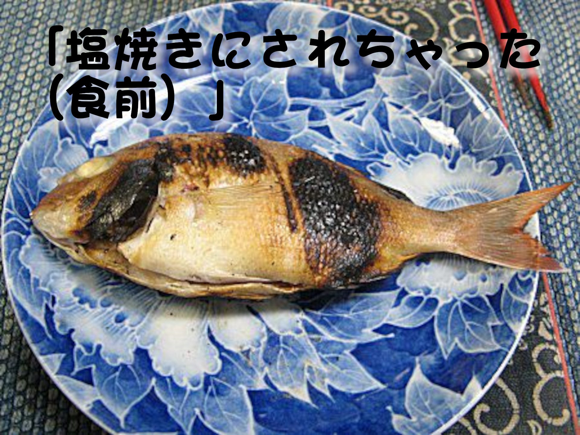 マダイ
「塩焼きにされちゃった（食前）」