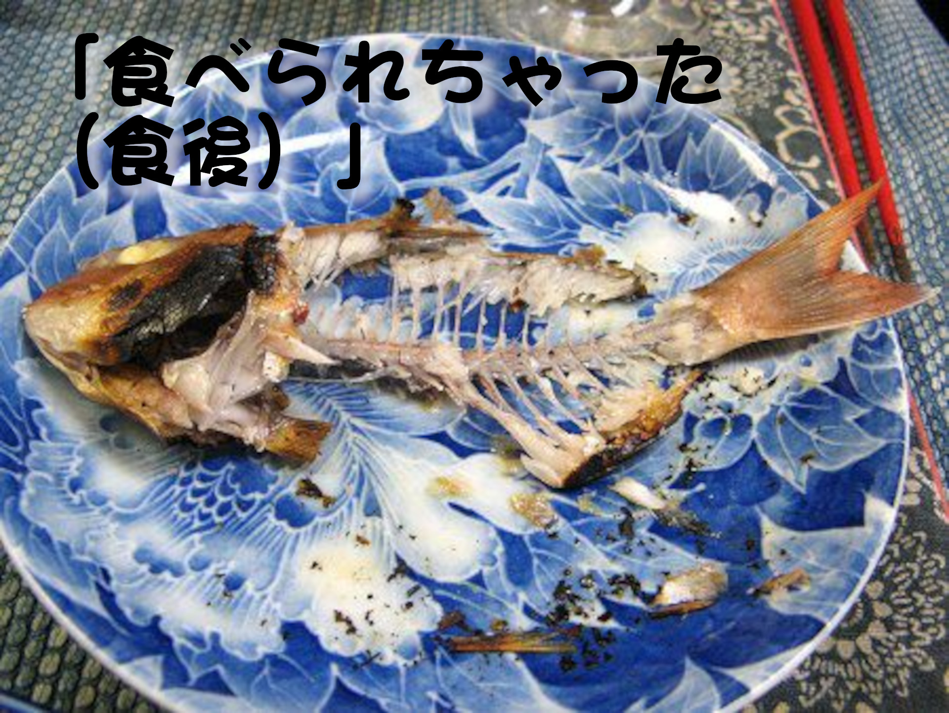 マダイ
「食べられちゃった（食後）」