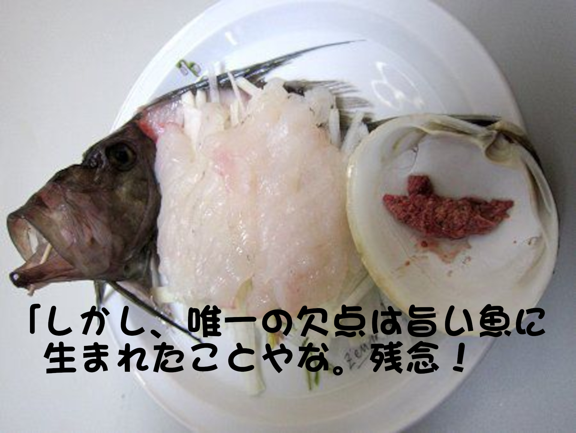 しかし、唯一の欠点は旨い魚に生まれたことやな。残念！