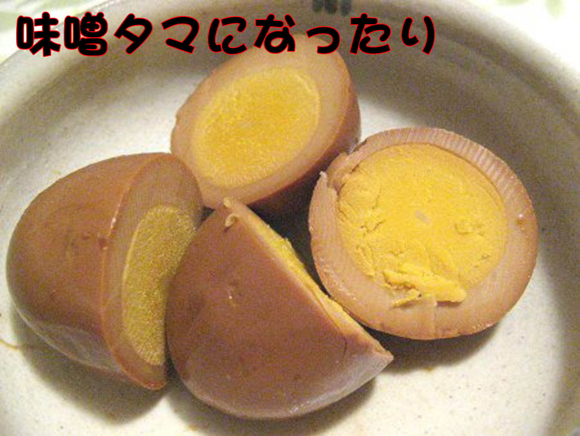 ニワトリ
味噌タマになったり