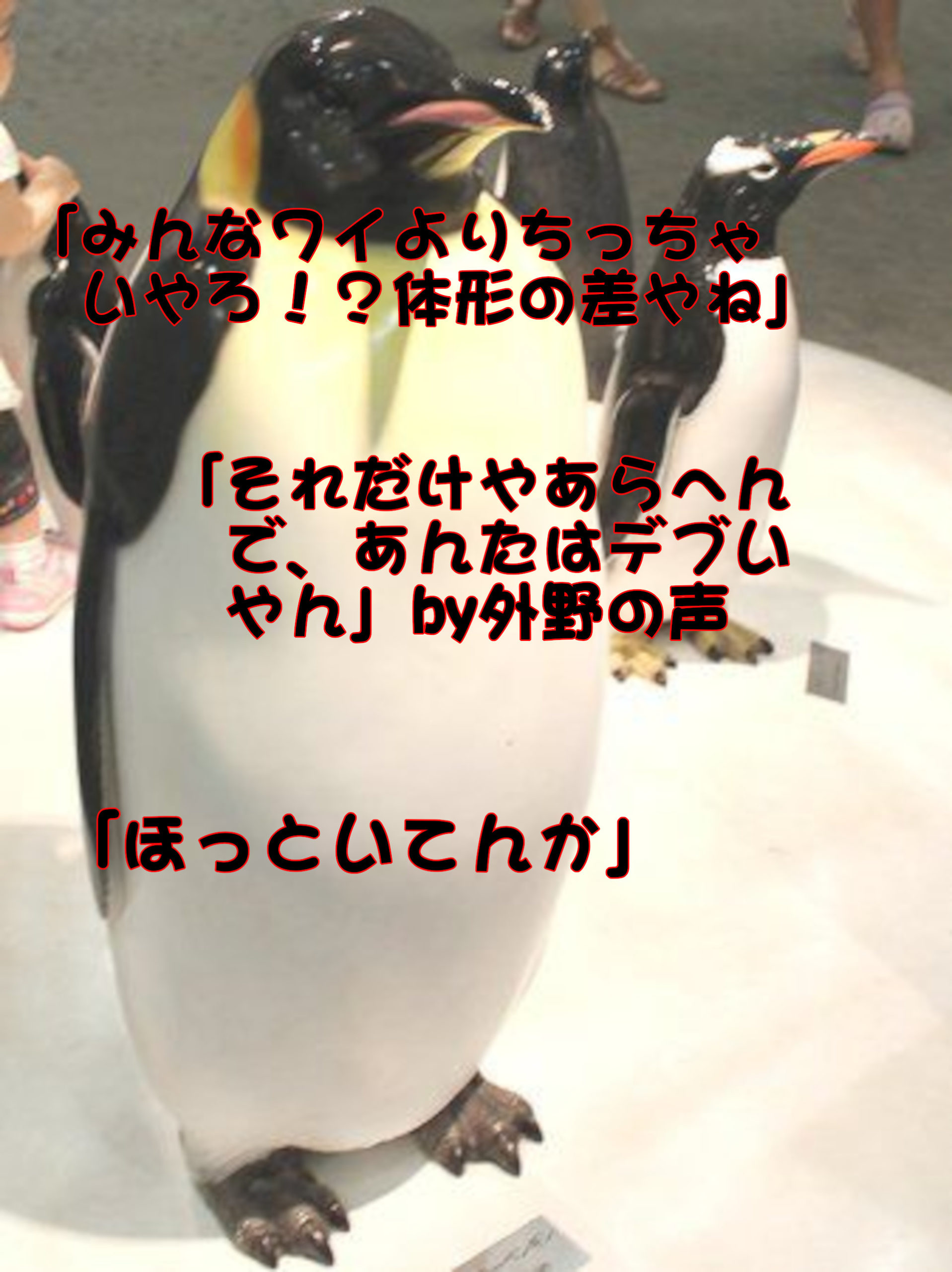 「みんなワイよりちっちゃいやろ！？
体形の差やね」
「それだけやあらへんで、あんたはデブいやん」BY外野の声
「ほっといてんか」