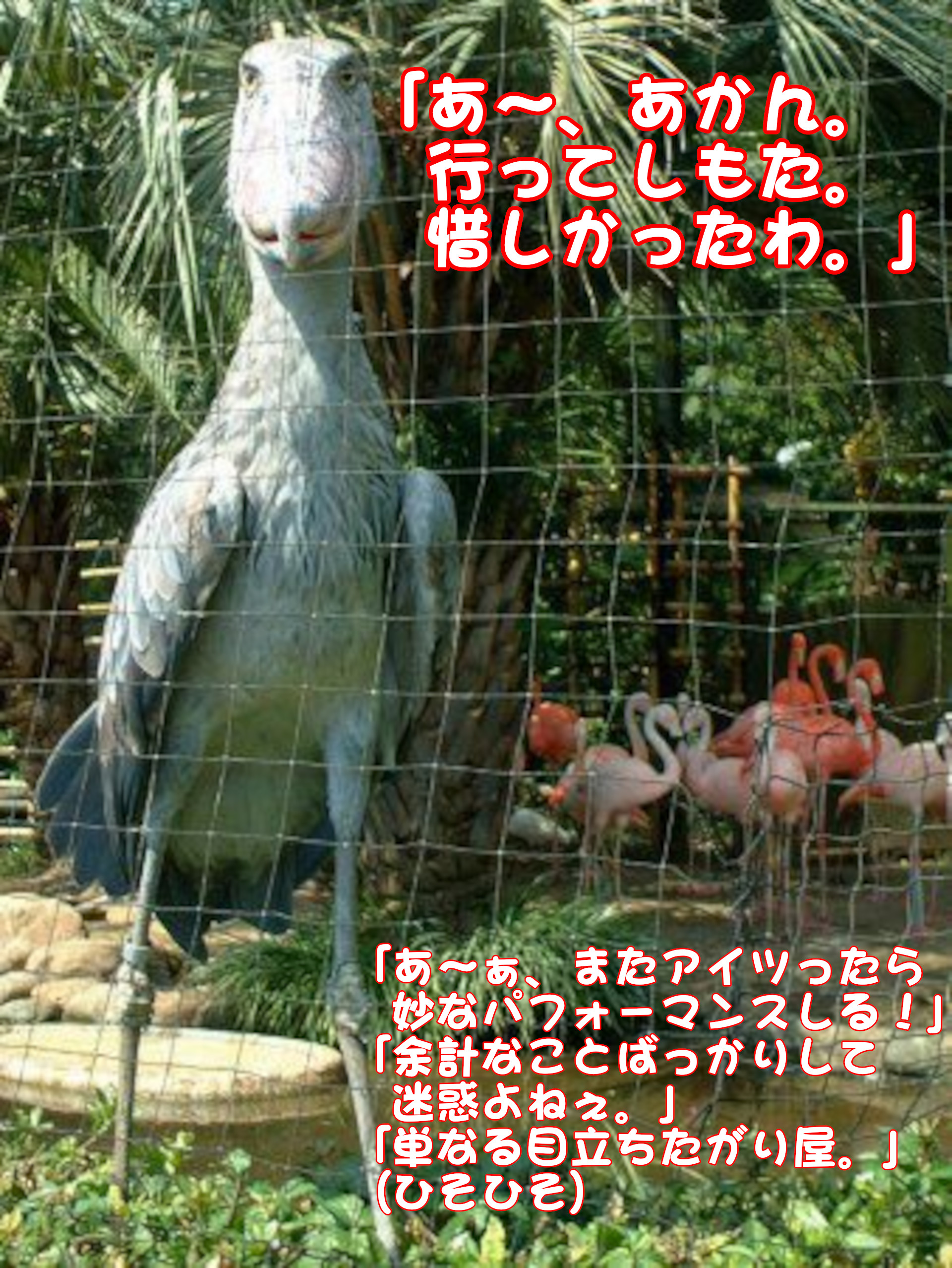 Bird: "Oh, they're all gone! What is that thing?"
Flamingo 1 in the background: "Oh, he's performing in a strange way again."
Flamingo 2: "He's just doing unnecessary things."
Flamingo 3: "He's just a show-off."
Flamingo 4: "Really!　You're so vulgar." (whispering)"