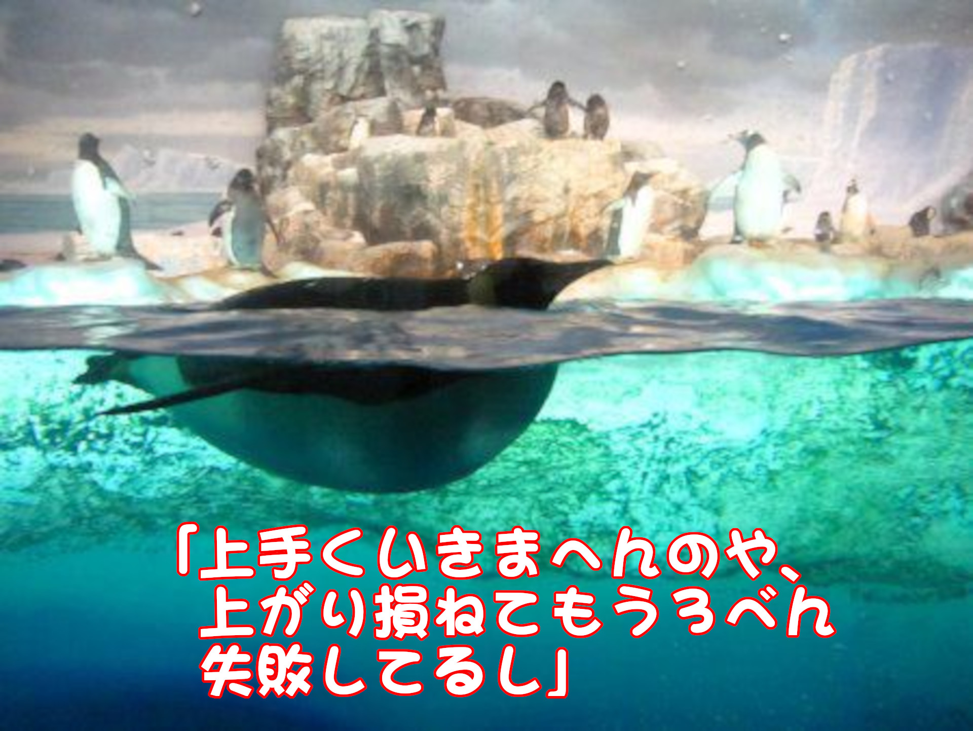 ペンギン
「上手くいきまへんのや、上がり損ねてもう３べん失敗してるし」