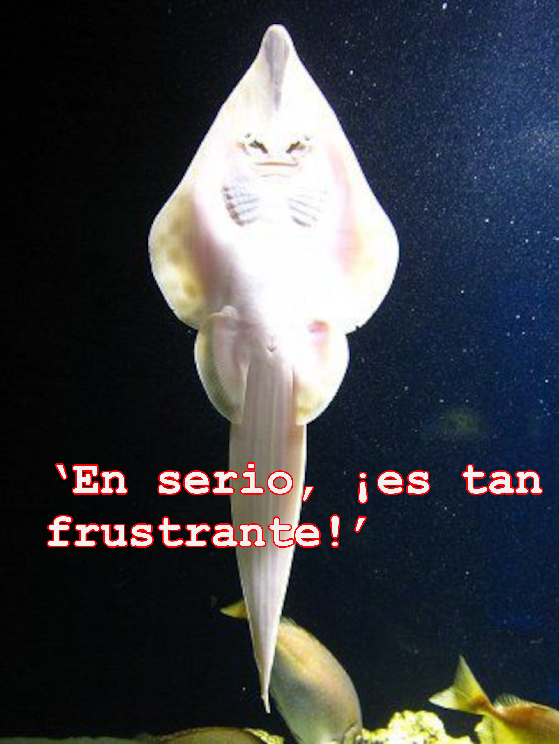 ‘En serio, ¡es tan frustrante!’
